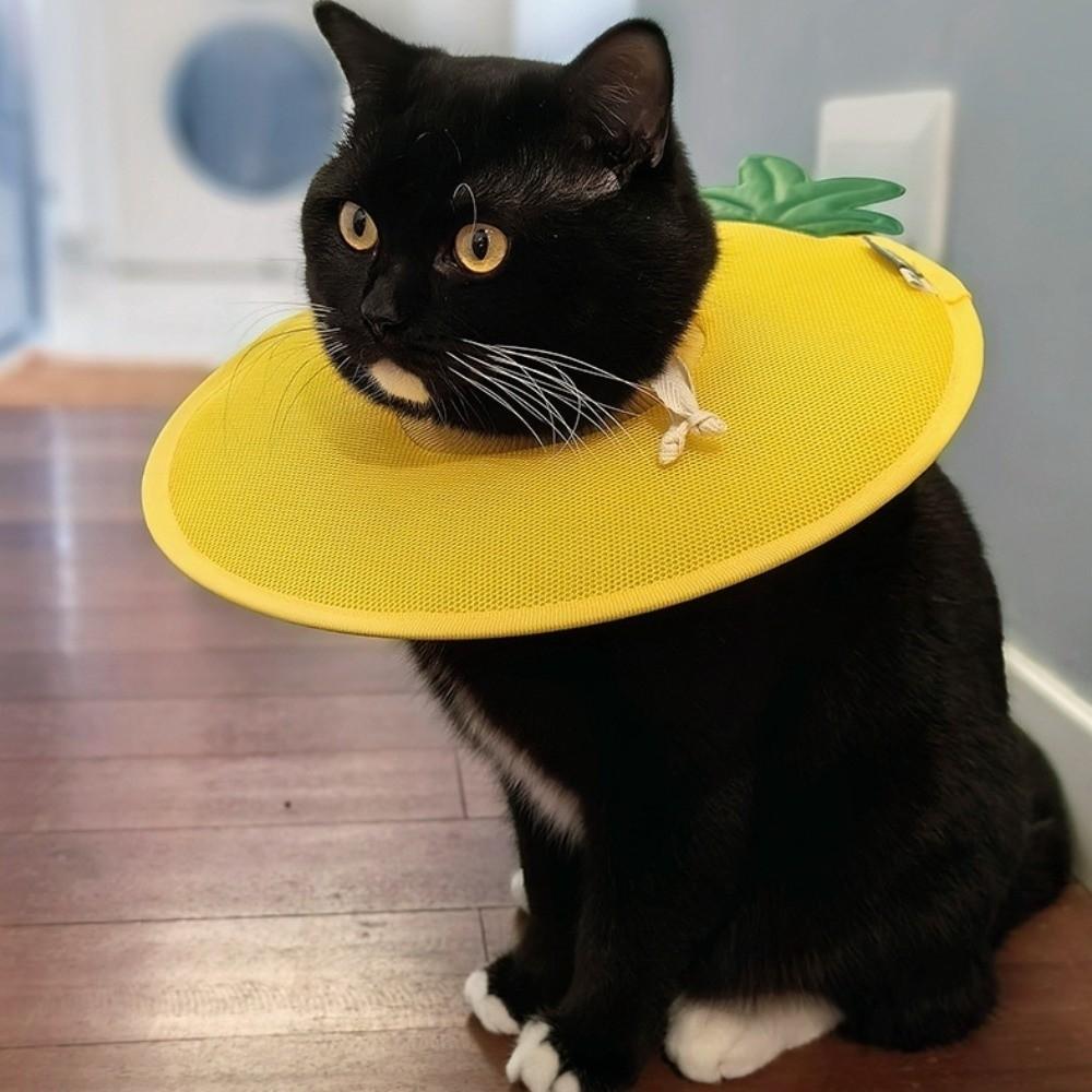 Soft Fruit Shape Kitty Recovery Collar Anti-biting Dog Protective Neck Cone  Stop Licking