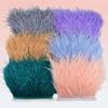 Feather10Meters Ostrich Feathers on Ribbon Tape 10-15cm 4-6" Feather Trim Boa for Clothes Sewing Trimmings Fringe Manmade Decorations
