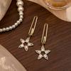 Стильные и простые очаровательные длинные серьги с цирконом в форме звезды в простом и стильном дизайне для женщин