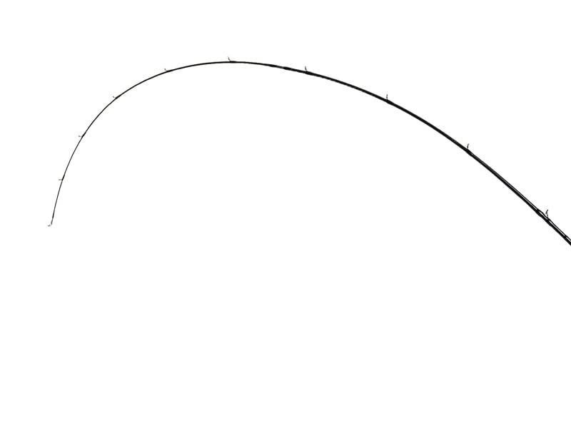 Фишман Бимс бланксьерра4.8UL