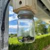Carpenter Bee Trap for Outside - Pentroof Style Nature Hanging Wood Carpenter Bee Traps -Insect Traps with Removable Vault