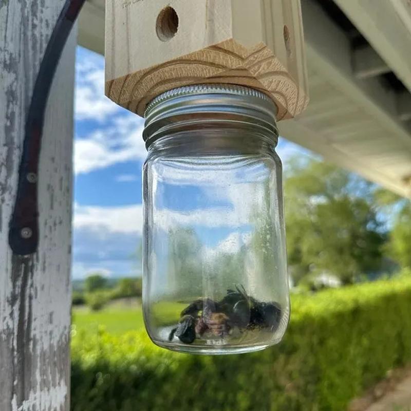 Carpenter Bee Trap for Outside - Pentroof Style Nature Hanging Wood Carpenter Bee Traps -Insect Traps with Removable Vault
