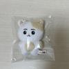 [USED] ENHYPEN Heeseung Plush Toy 10cm Doll