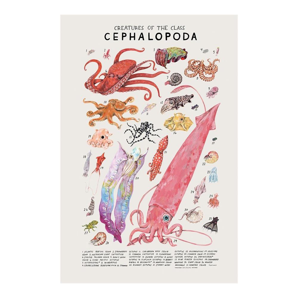 Абстрактные морские организмы медузы киты кальмары рыбы постеры холст картины и принты настенное искусство картина для комнаты домашний декор