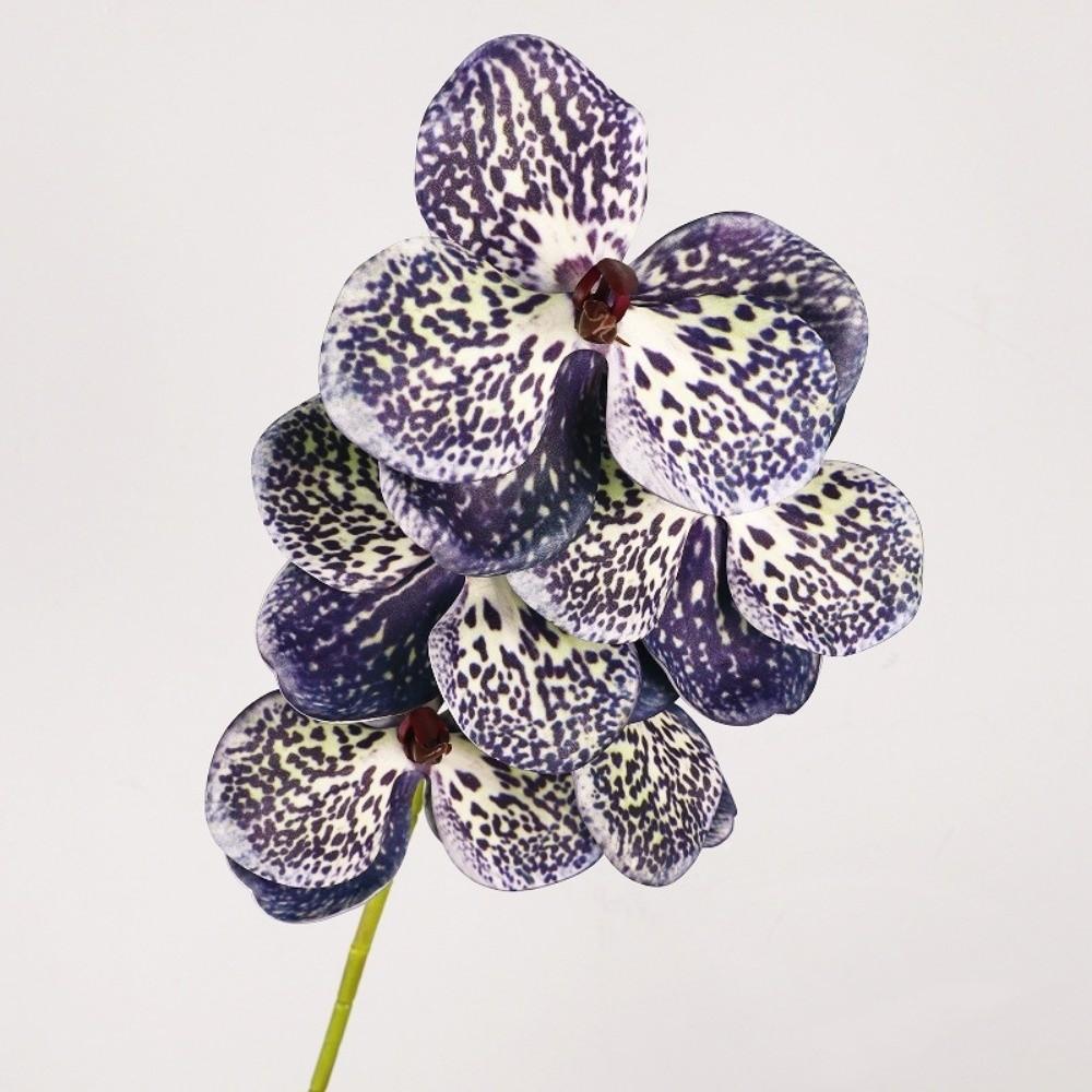 Butterfly Orchid Artificial Vanda Orchid Flower Handmade Real Touch Simulation Big Moth Orchid EVA 67cm Fake Flower Branch