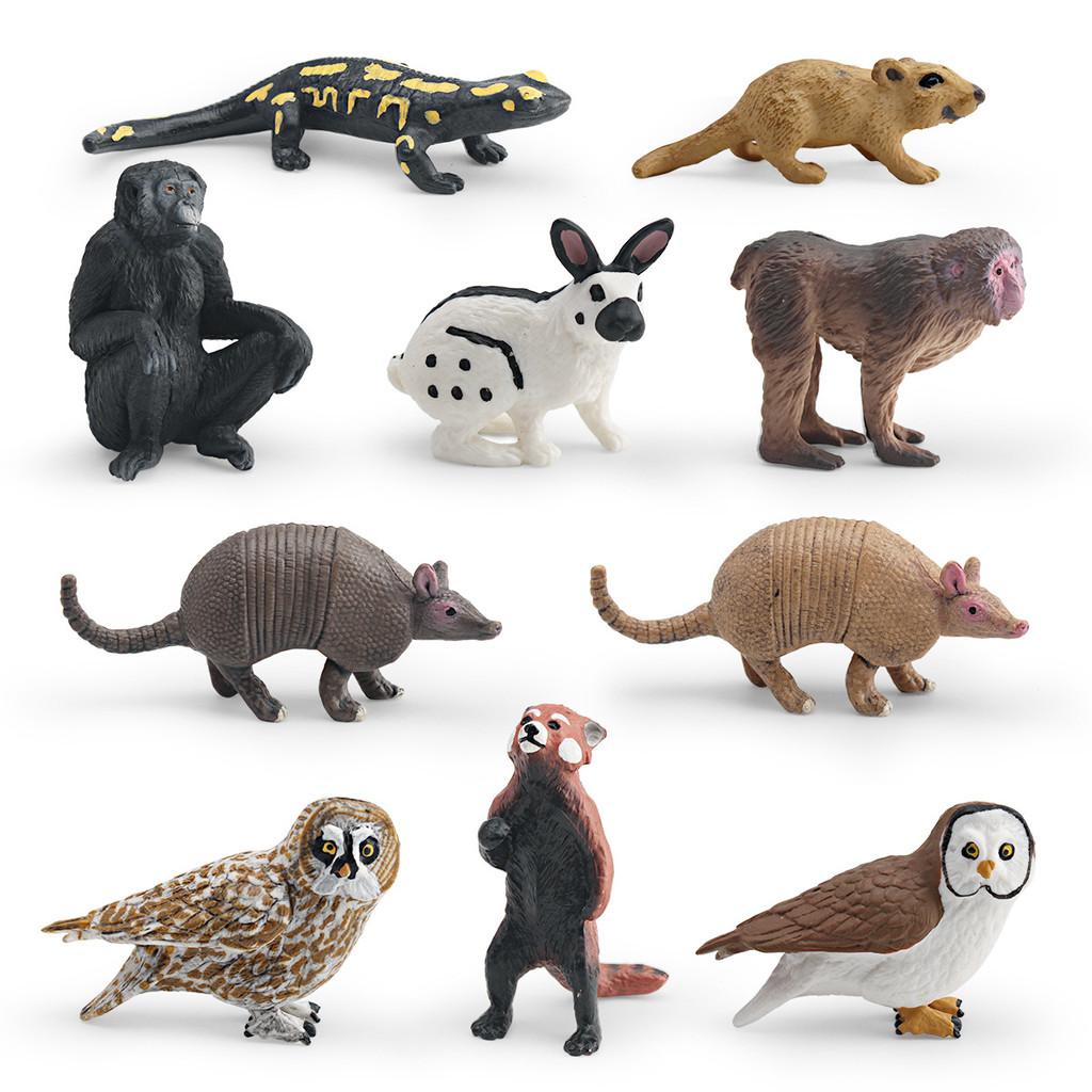 Wildlife Animal Rabbit Armadillo Macaque And Panda Model Collection Pvc Educational Figures For Kids Preschool Learning