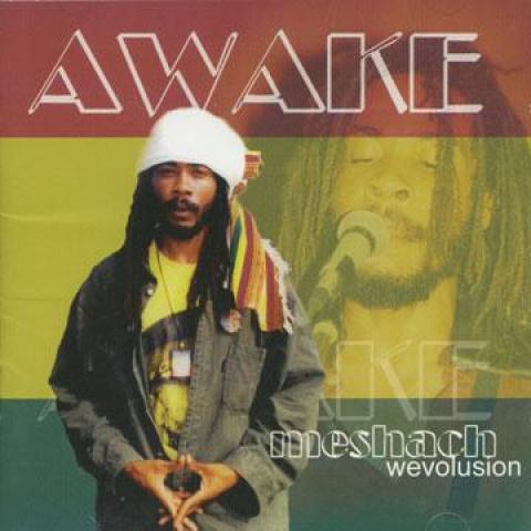 CD MESHACH - Awake 620953052323 Wevolusion CA 2002 US Регги, Ска и Даб Б/У