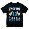 Birthday Gift T-Shirt Awesome 13 Year Old Looks Like Boys Tee
