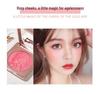 Палитра румян CDE Lively Nude Shimmer для контуринга и хайлайтинга