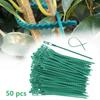 50 Pcs Garden Tree Climbing Support Plant Vine Tomato Stem Clip Adjustable Plastic Plant Cable Ties Reusable Cable Ties