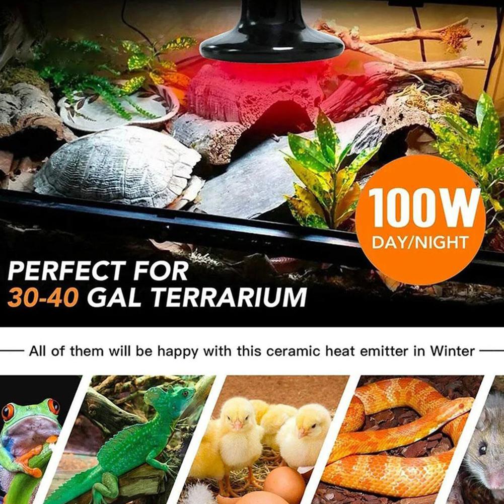 25 Вт/50 Вт/75 Вт/100 Вт греющаяся керамическая ИК-лампа для обогрева без лампы черепаха инфракрасный светильник для цыплят для домашних животных S A6X5