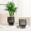 Removable Flowerpot Self Watering Mini Succulent Planter Light Luxury Tabletop Vase