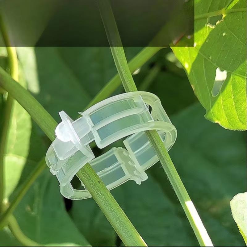 New 50/100 Pieces Of Plant Clips Support Reusable Plastic Connection Fixing Vines Protection Grafting Fixing Tools Home Supplies