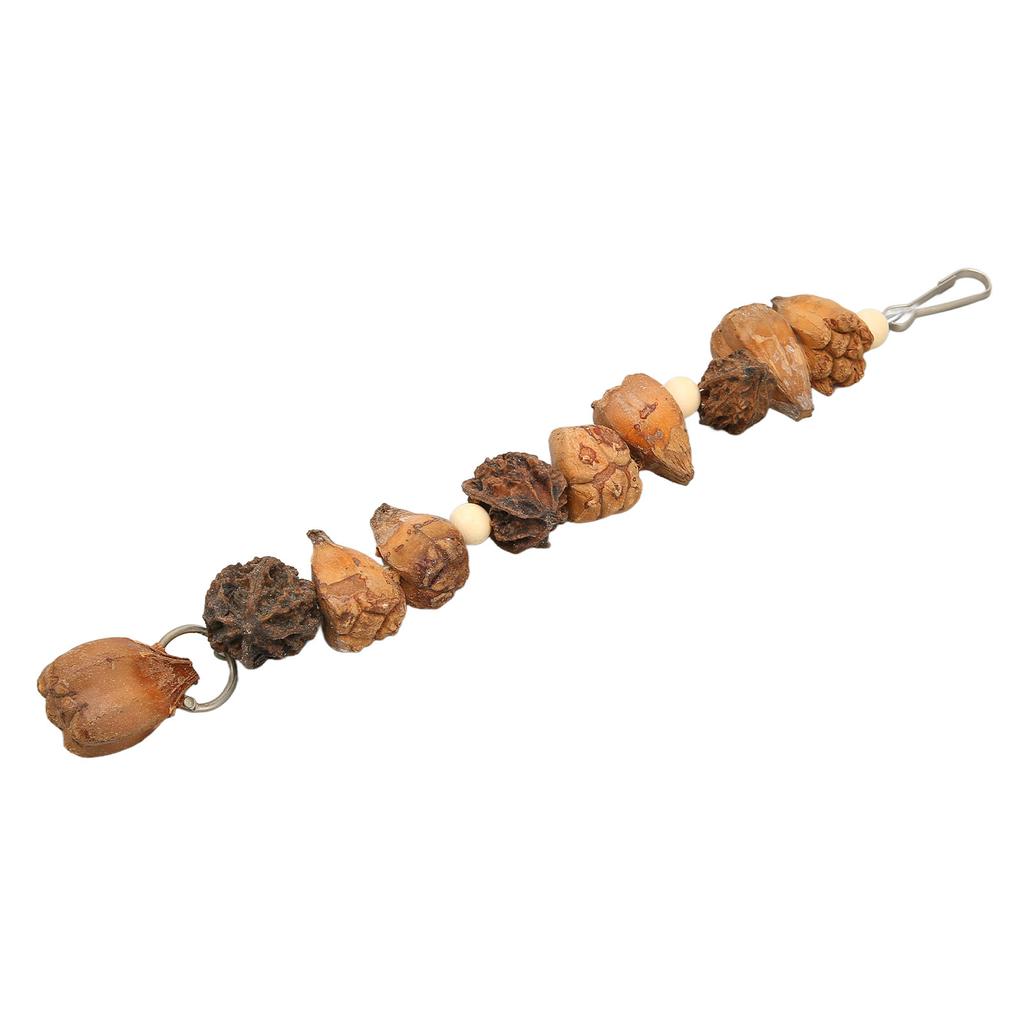 Bird Chew Toys Grinding Mouth Bite Resistance Logs Natural Nuts Hanging Parrot Chew Toys for