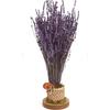 Ароматная композиция из шокированной лаванды в мини-вазе 35 см, настоящий цветок