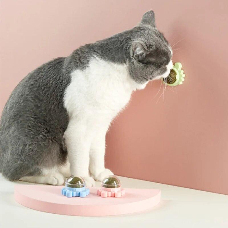 Pet Catnip Toys Edible Nature Mint Ball Safety Healthy Rotatable Cat Chasing Game Toy Clean Teeth Product with Box Moistureproof