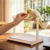 Non-slip Parrot Potty Training Platform Anti-Splash Design Bird Stand Creative Parrot Stand