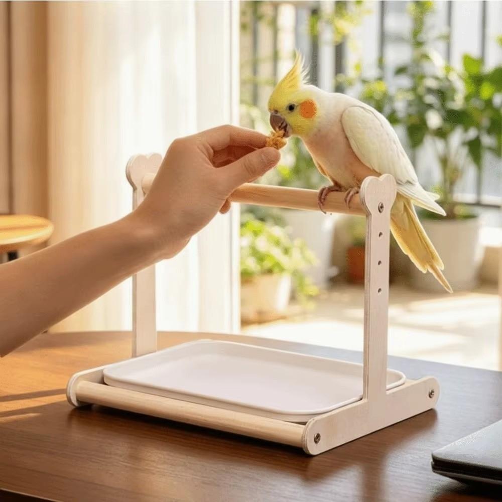 Anti-Splash Design Parrot Stand Non-slip Bird Stand Creative Parrot Potty Training Platform