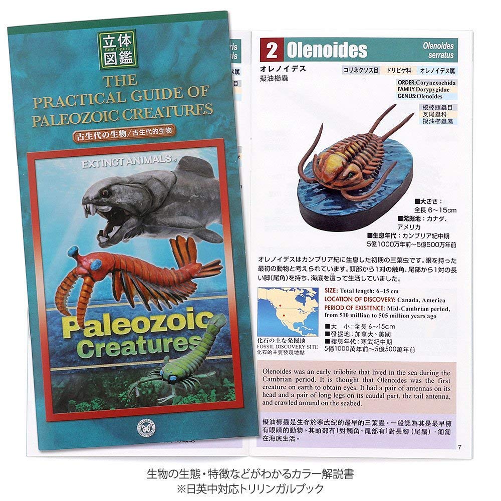 COLORATA 3D-фигурка существ палеозойской эры, книга с картинками, 6 видов рыб, инструкция и подставка, реалистичная игрушка в коробке, обучающая игрушка, подарок