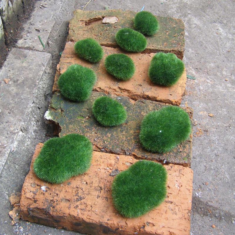 Natural Looking Green Moss Stones Pack of 8 for Landscape and Balcony Use