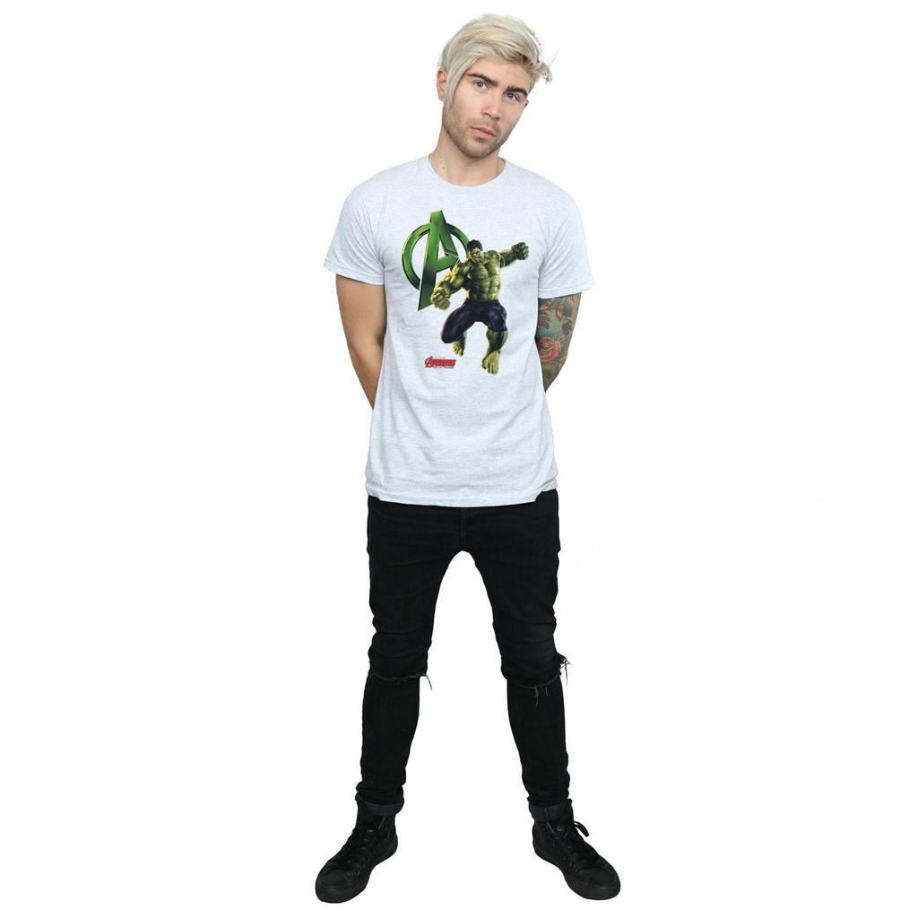 Hulk Mens Pose T-Shirt