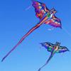 Easy To Fly Children's Kite Good Flying Outdoor Flying Toy New Dragon Kite  Fun Sports
