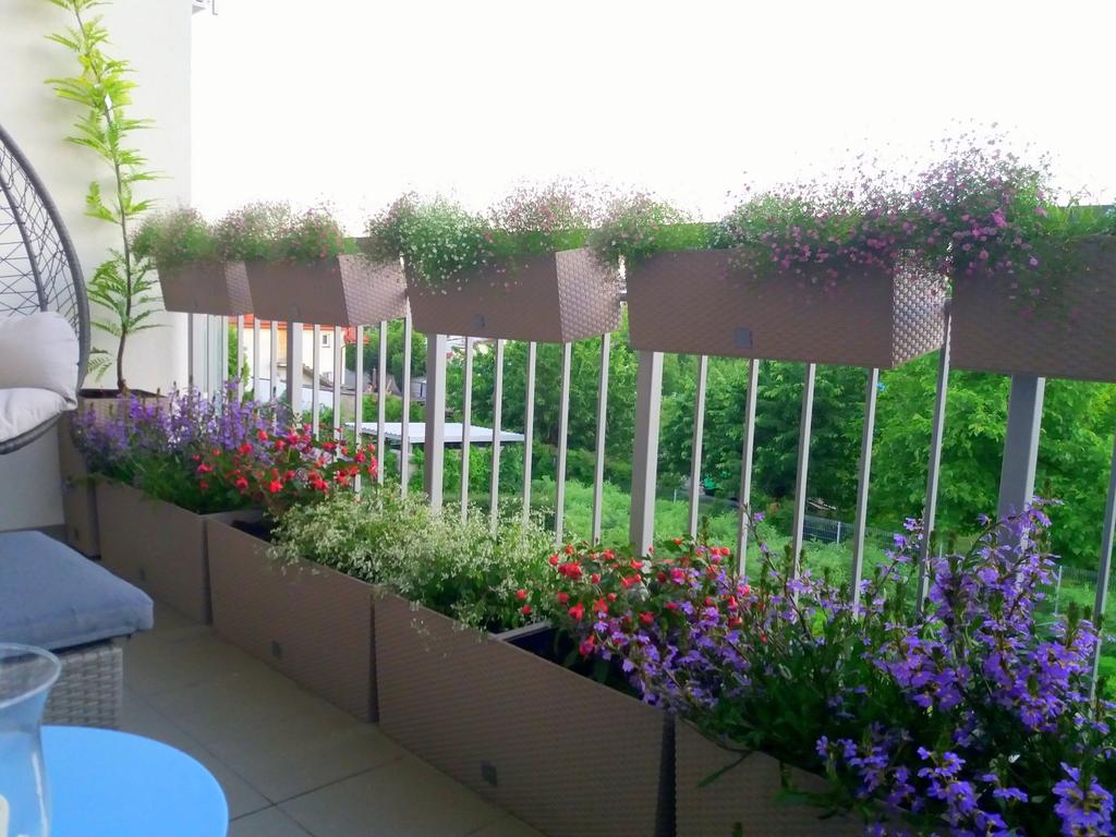 RATO Case DRTC500 Self-Irrigation Flowerpot | Anthracite