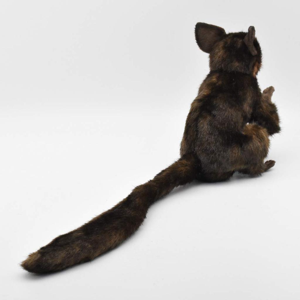 BH5166 HANSA AiAi 20