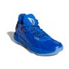 adidas Кроссовки Ric Flair X Adidas Dame 7 'Royal Blue' FY2807