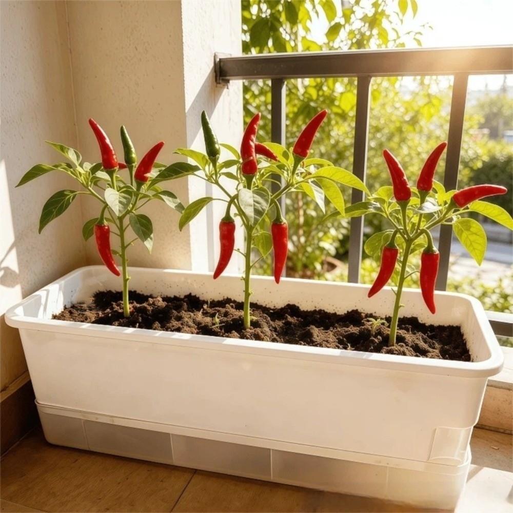 Thicken Seedling Tray Self Watering Plant Nursery Pot Growing Box Indoor Gardening