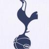 Nike Мужская аутентичная игровая домашняя футболка Tottenham Hotspur 2025/26 HJ4550-101