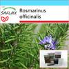 Gift Set - Rosemary - 100 Seeds - With Gift Box, Card, Label and Potting Substrate - Rosmarinus Officinalis