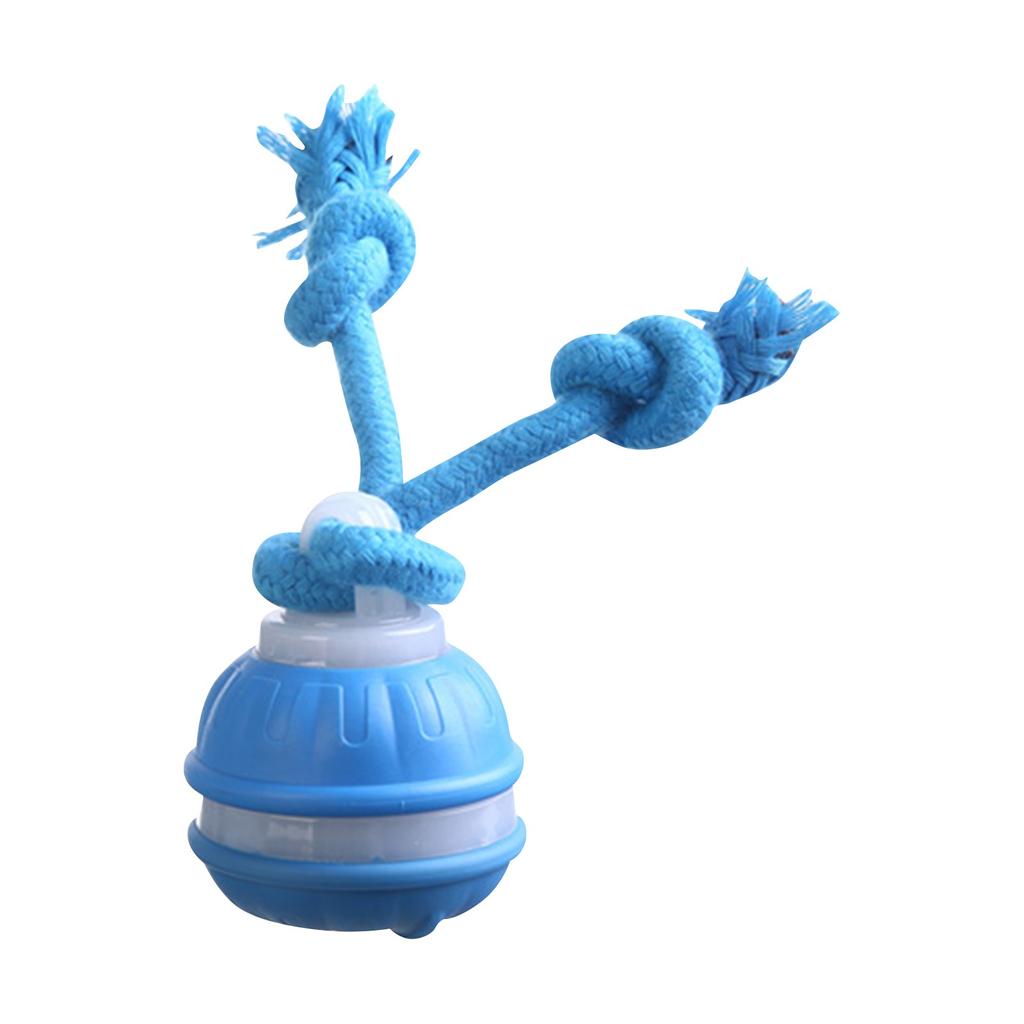 Интерактивные игрушки для собак, новые игрушки для собак с пищалкой, активный катящийся мяч для щенков и средних собак, перезаряжаемый через USB