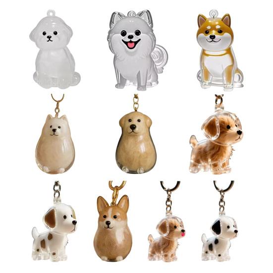 Pet Hair Collector Keychain Transparent Souvenir Capsule Waterproof Design Dog Hair Memorial Keychain