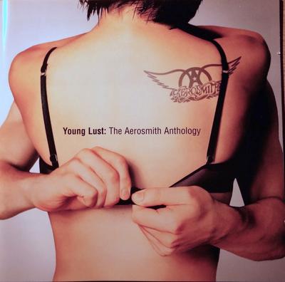 CD AEROSMITH - Молодая похоть: Антология Aerosmith 4931192 Geffen Records 2001 Не из Японии Рок Б/У