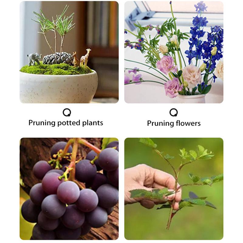 Horticultural Scissors Bird Branch Pruning Beak Shape Labor Saving Pruning Stainless Steel Picking Multifunctional Fruit Scissor