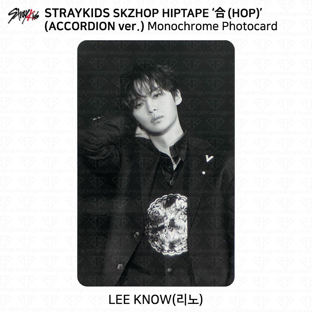 Stray Kids SKZHOP HIPTAPE HOP Аккордеон Официальная фотокарточка Unit Monochrome