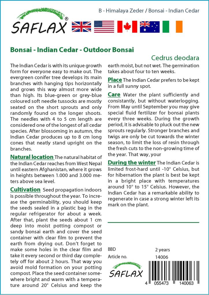 SAFLAX Garden in the Bag - Бонсай - Индийский кедр - 35 семян - С субстратом в подходящем мешке - Cedrus deodara