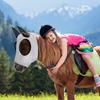 3Pcs Horse Fly Masks With Ears Face Covering For Horse Pony, Black, Gray, Blue