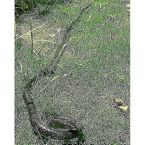 47 Inches Rubber Lifelike Snakes Scary Gag Gift Incredible Creatures Chain Snakes Rain Forest Snake Toys Wild Life Snakes