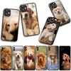 Phone Cover Animal Pet Golden Retriever Dog for Xiaomi Poco F7 F6 F8 Ultra F5 X7 X6 X5 X3 NFC M7 M6 Pro C85 C75 C65 C71 C61 Case