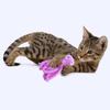 Игрушка для кошек, милая плюшевая игрушка в виде осьминога, устойчивая к укусам зубов, интерактивная игра, товары для домашних животных