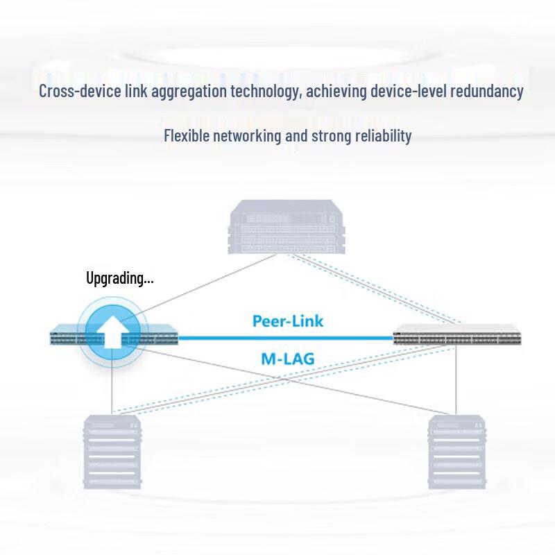 Ruijie RG-RSR30-XA-24 Enterprise Aggregation Router Switch