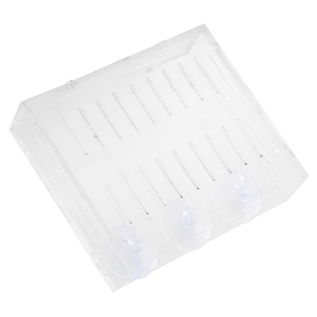 Аквариумный Растение Водная Трава Чаша Ландшафтные Растения Культивация Бассейн Чаша с Присосками