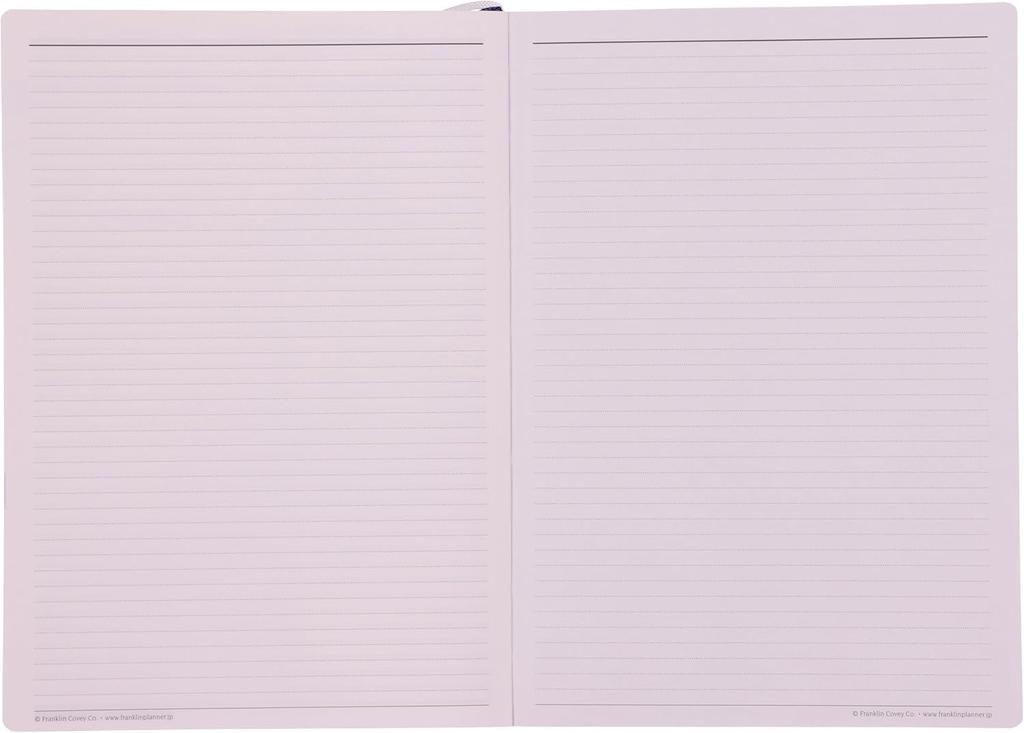 Органайзер Franklin Planner, 1 страница в день, ПВХ, начало с апреля 2025 года, B6, бордовый, 86491