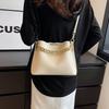 Korean Popular Texture Niche Design Bucket Bag Women's New 2025 Autumn Chain Handbag Messenger Bag Bag