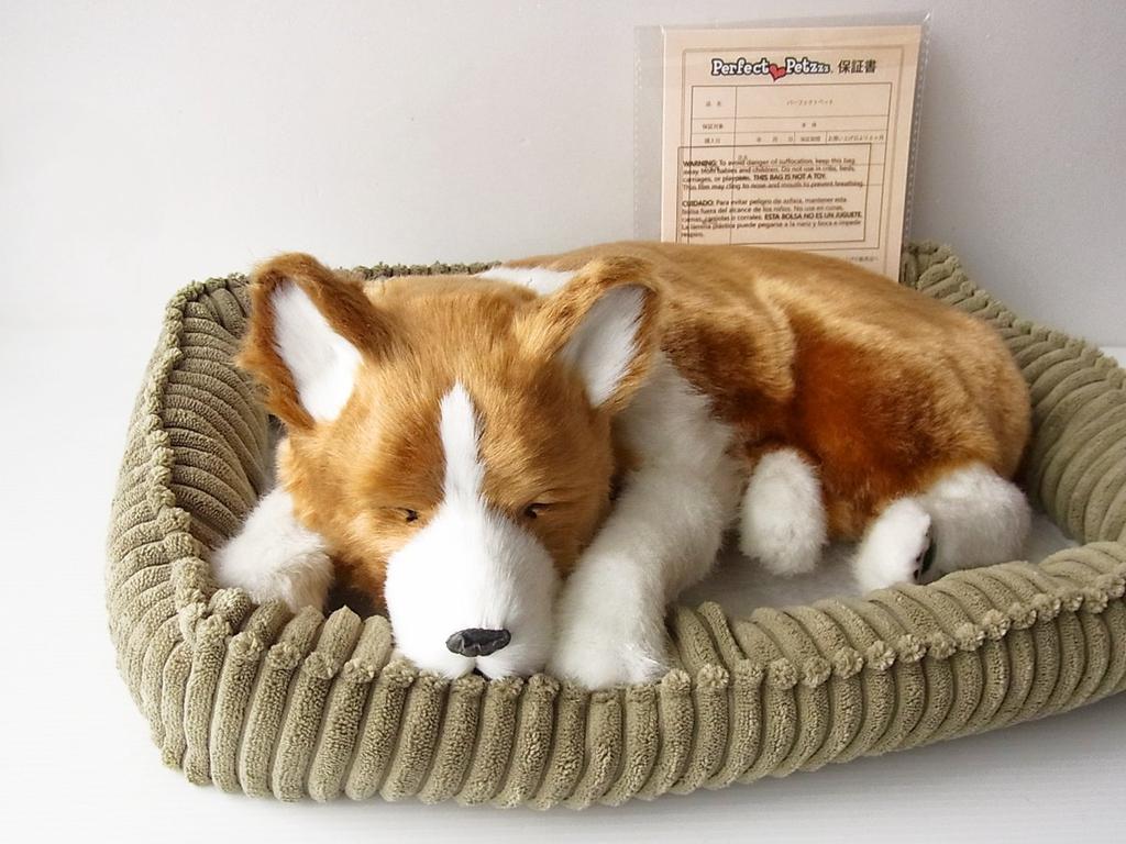 Ninian and Kino Perfect Pet Corgi Plush Stuffed Perfect Cute Dog Stuffed Animal (Large) Toy, Realistic, Lifelike, Animal-Like Animal, Soothing,