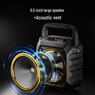 Портативная уличная Bluetooth-колонка aigo T52 Lite с радио, штекер CN (адаптер в комплекте)