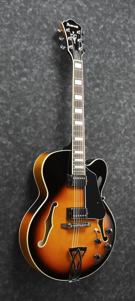 Электрогитара с полым корпусом и чехлом Ibanez/Ibanez AF75-BS