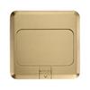 Gold Copper Universal Pop-up Floor Socket with Slow Rise